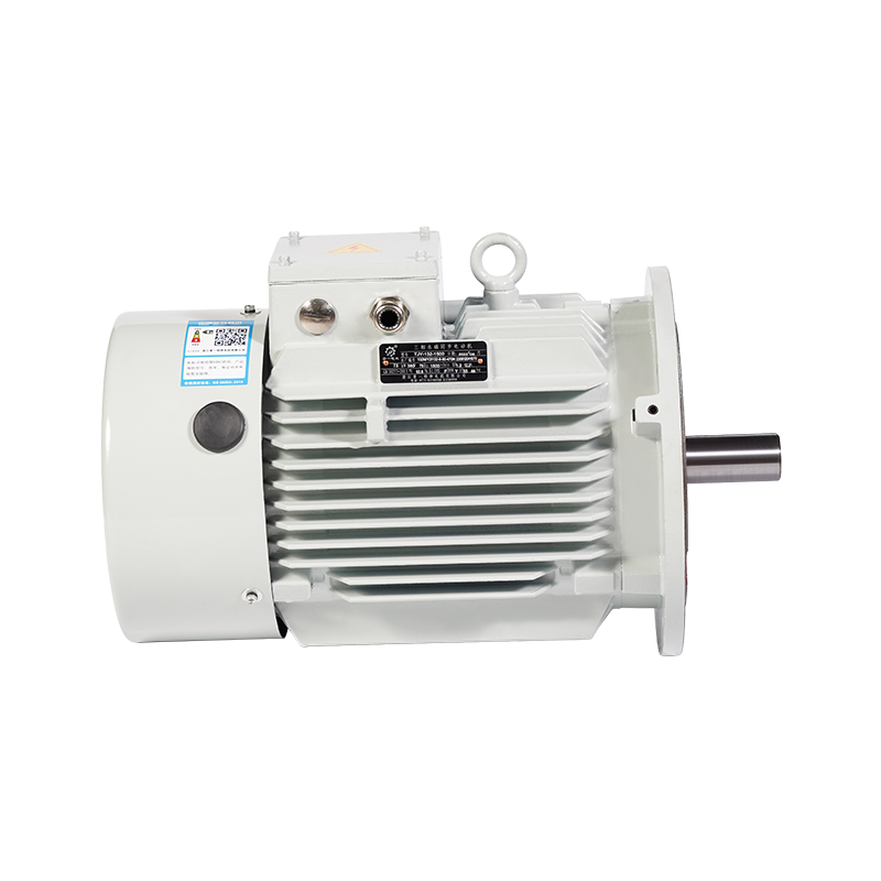 定型機專(zhuān)用耐高溫永磁同步電動(dòng)機